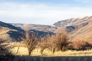 554 W 1150 N, Midway, UT 84049 - Photo 34