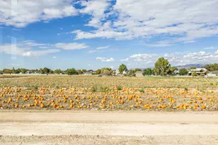 1104 W 10125 S, South Jordan, UT 84095 - Photo 30