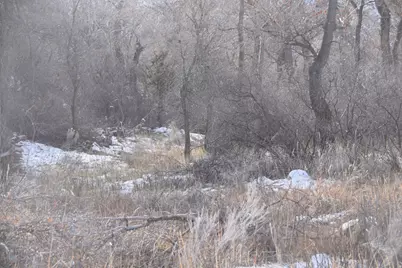 [Address not provided], Sevier, UT 84766 - Photo 20