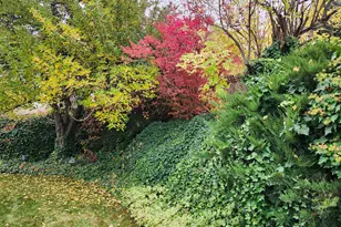 8036 S 2575 E, South Weber, UT 84405 - Photo 28