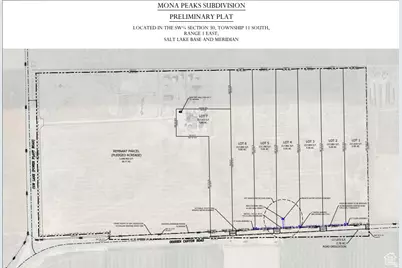 1114 Goshen Cyn, Mona, UT 84645 - Photo 6