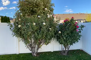 6508 W Cottontail Dr S, West Valley, UT 84128 - Photo 44