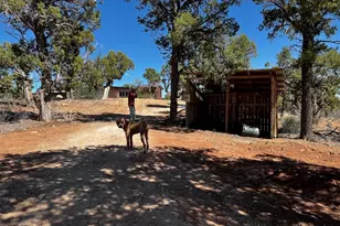 33 Rosie Ln, Monticello, UT 84535 - Photo 34