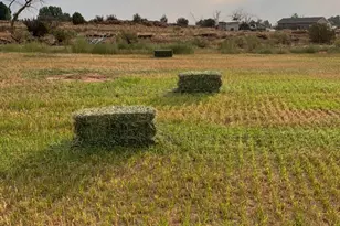 3398 W 1000 N, Roosevelt, UT 84066 - Photo 72