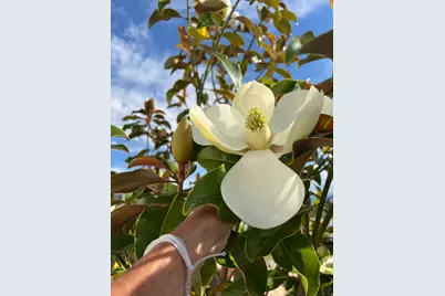 2837 S Greenhead Dr, Saratoga Springs, UT 84045 - Photo 44