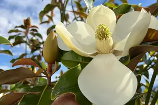 2837 S Greenhead Dr, Saratoga Springs, UT 84045 - Photo 44