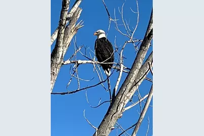 2837 S Greenhead Dr, Saratoga Springs, UT 84045 - Photo 58