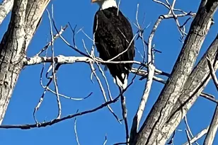 2837 S Greenhead Dr, Saratoga Springs, UT 84045 - Photo 58