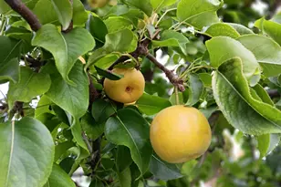 2292 S 2060 W, Woods Cross, UT 84087 - Photo 46