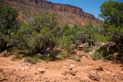 343 Taylor Ln #343, Castle Valley, UT 84532 - Photo 10