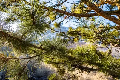 310 S Maryfield Dr #307, Salt Lake City, UT 84108 - Photo 30