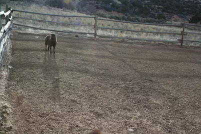 5868 N Dry Fork Canyon Rd W, Vernal, UT 84078 - Photo 42