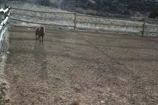 5868 N Dry Fork Canyon Rd W, Vernal, UT 84078 - Photo 42