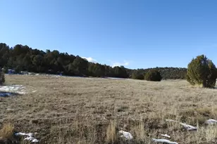 34465 N 9755 E, Fairview, UT 84629 - Photo 1