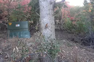 2953 S Sweetwater Pkwy, Garden City, UT 84028 - Photo 1