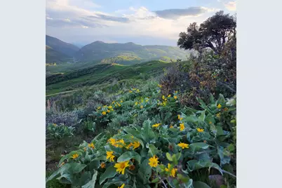 156 Mountain Vw #156, Oakley, UT 84055 - Photo 26