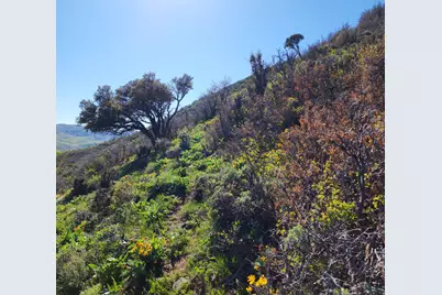 156 Mountain Vw #156, Oakley, UT 84055 - Photo 22