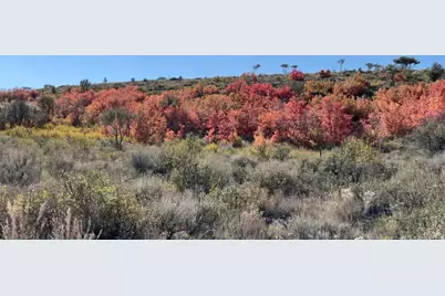 446 N Elk Ridge Rd #57, Garden City, UT 84028 - Photo 10