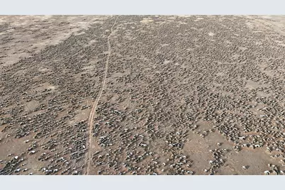 123 Tbd West County Rd 1875, Monroe, UT 84754 - Photo 24