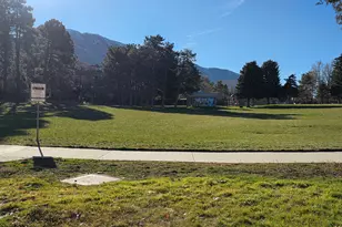 3566 E Wasatch Hills Ln, Salt Lake City, UT 84121 - Photo 34