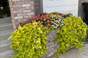 4496 Cottonwood Dr, Pleasant View, UT 84414 - Photo 48