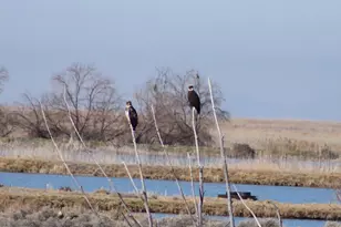 113 N 4950 W, West Point, UT 84015 - Photo 40