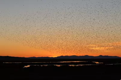 113 N 4950 W, West Point, UT 84015 - Photo 44