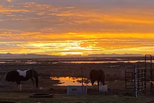 113 N 4950 W, West Point, UT 84015 - Photo 54