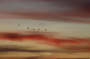 113 N 4950 W, West Point, UT 84015 - Photo 46