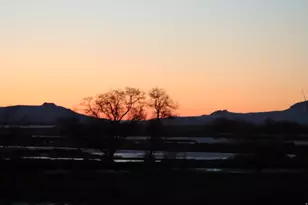 113 N 4950 W, West Point, UT 84015 - Photo 50