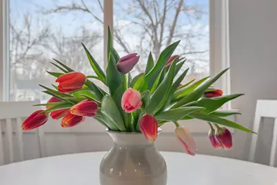 410 S 500 E, Heber City, UT 84032 - Photo 14