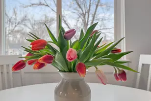 410 S 500 E, Heber City, UT 84032 - Photo 14