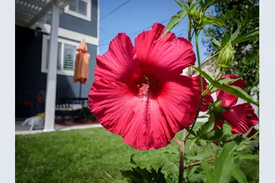 920 E Queensmill Ln, Salt Lake City, UT 84106 - Photo 44