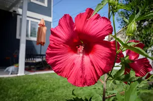 920 E Queensmill Ln, Salt Lake City, UT 84106 - Photo 44