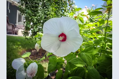 920 E Queensmill Ln, Salt Lake City, UT 84106 - Photo 42