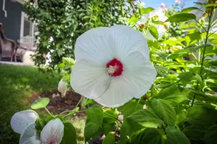 920 E Queensmill Ln, Salt Lake City, UT 84106 - Photo 42