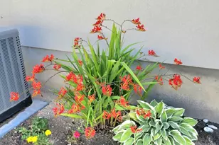 3243 E Spring, Eagle Mountain, UT 84005 - Photo 32