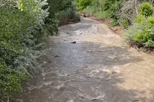 3488 E Fairway Ln S, Spanish Fork, UT 84660 - Photo 44