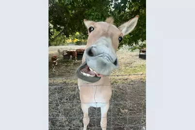 3488 E Fairway Ln S, Spanish Fork, UT 84660 - Photo 42