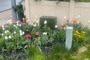 3488 E Fairway Ln S, Spanish Fork, UT 84660 - Photo 6