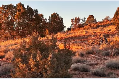 675 W 950 N, Blanding, UT 84511 - Photo 16