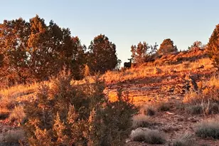 675 W 950 N, Blanding, UT 84511 - Photo 16