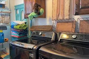 3147 S Vernal Ave Ave, Vernal, UT 84078 - Photo 18