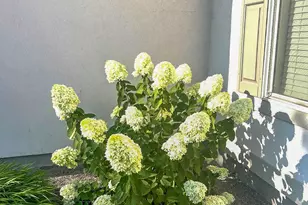 1029 N Bexley Dr, North Salt Lake, UT 84054 - Photo 22