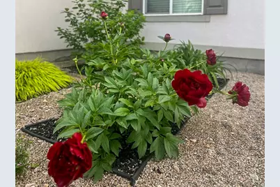 1029 N Bexley Dr, North Salt Lake, UT 84054 - Photo 20