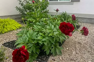 1029 N Bexley Dr, North Salt Lake, UT 84054 - Photo 20