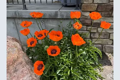 315 S Bear Lake Blvd, Garden City, UT 84028 - Photo 64