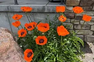 315 S Bear Lake Blvd, Garden City, UT 84028 - Photo 64