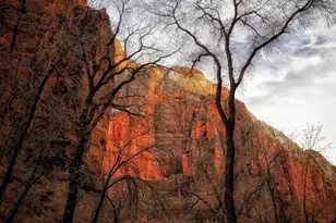 [Address not provided], Springdale, UT 84767 - Photo 1