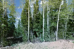 336 W Fir St, Brian Head, UT 84719 - Photo 1